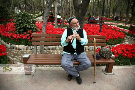 گزارش تصویری از « آینه بهار در باغ ایرانی »