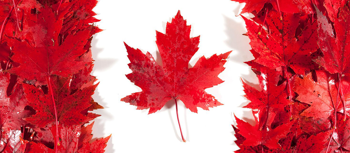 همه چیزدرباره ویزای مولتی 5ساله کانادا به قلم « ناصح قادری »