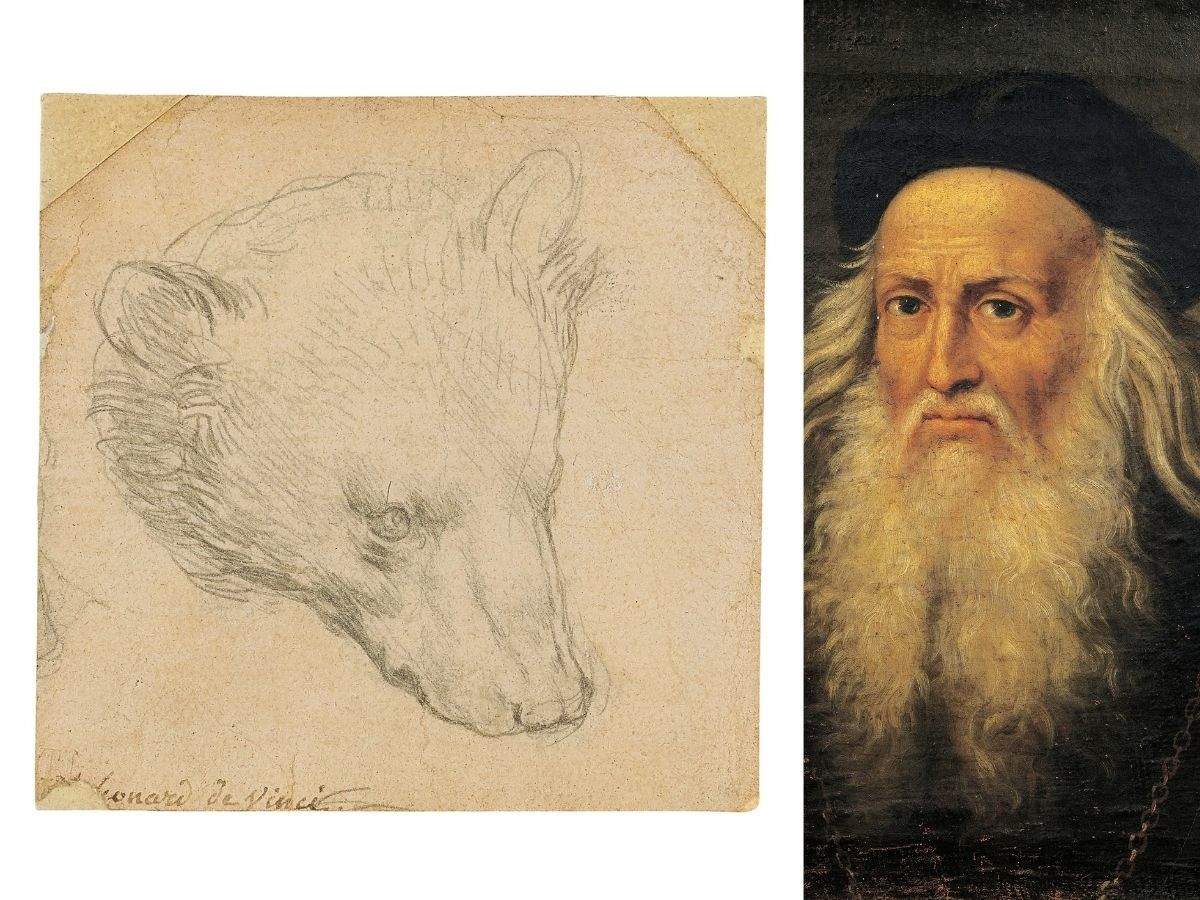 طراحی «لئوناردو داوینچی» از یک خرس با یک قیمت نجومی به مزایده گذاشته می شود!