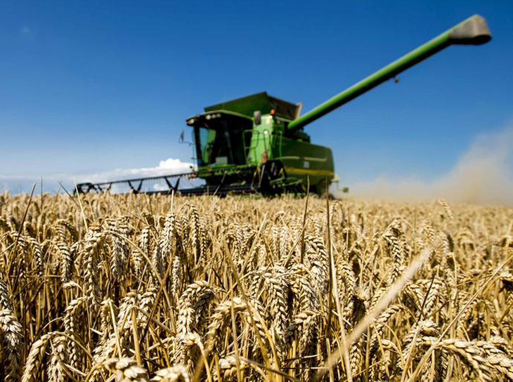 گزارش دیباچه درباره چگونگی مدل کاربردی اقتصاد کشاورزی در صنعت کشاورزی | اقتصاد کشاورزی محصور در سیستم‌های دستوری